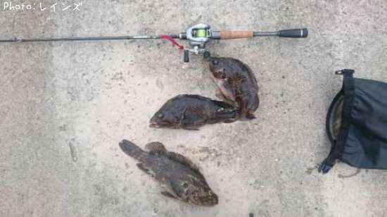 ���Υ���Х�