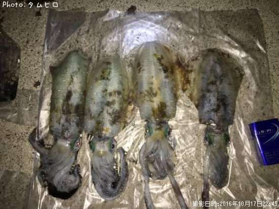 �����ꥤ��