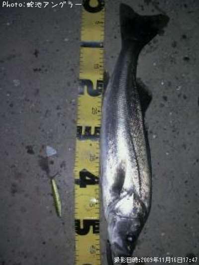 �����Х�