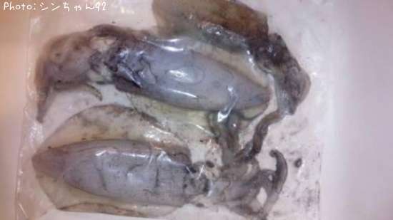 �����ꥤ��