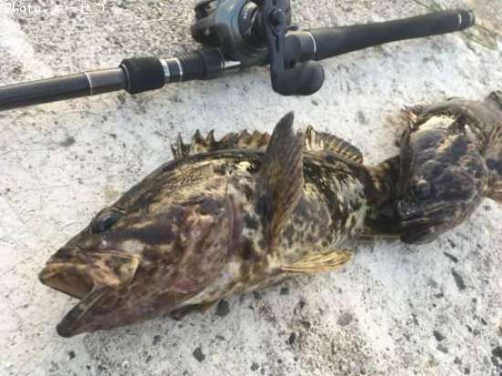 �����Υ���Х�