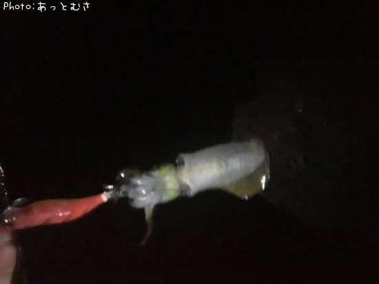 �����ꥤ��