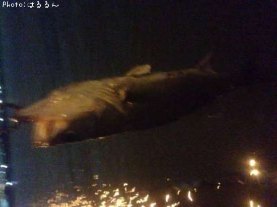 �����Х�