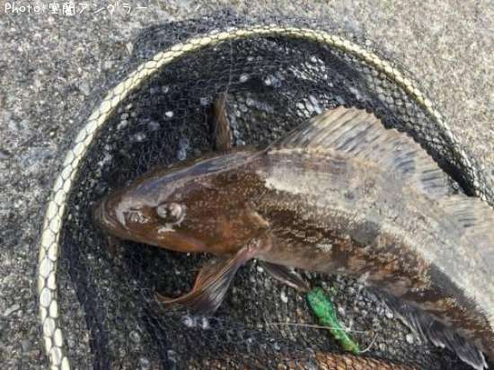 �����ʥ�