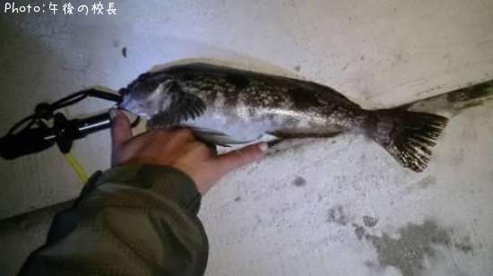 �����ʥ�