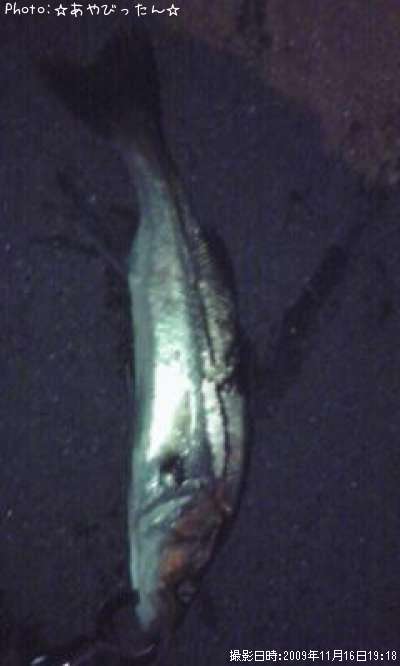 �����Х�