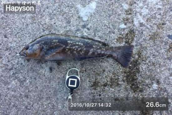 �����ʥ�