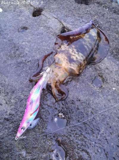 �����ꥤ��