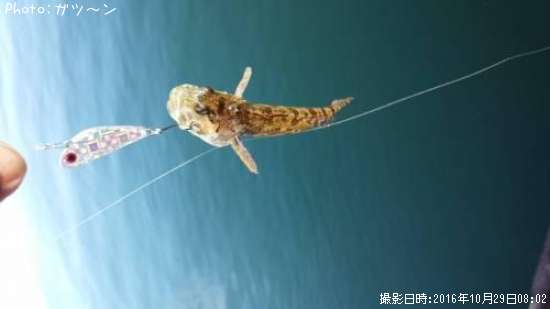 ���ʥϥ���