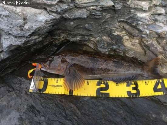 �����ʥ�