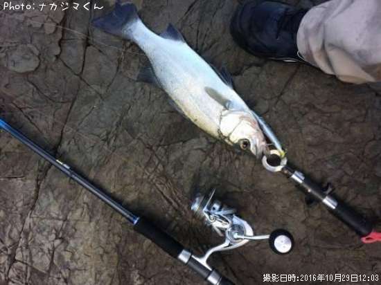 �ҥ饹����