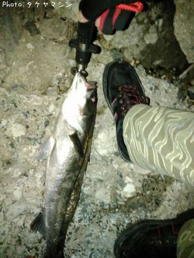 �����Х�