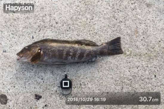 �����ʥ�