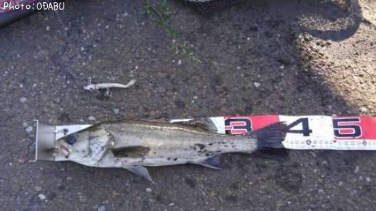 �����Х�