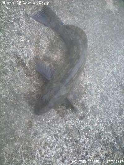 �����ʥ�