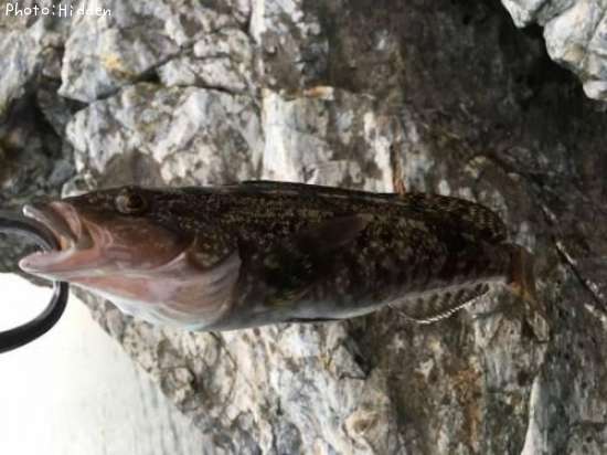 �����ʥ�