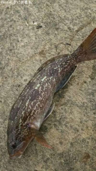 �����ʥ�