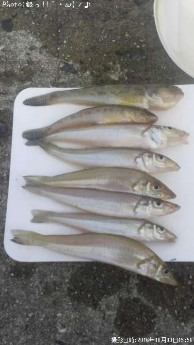 �������ϥ�