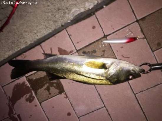 �����Х�