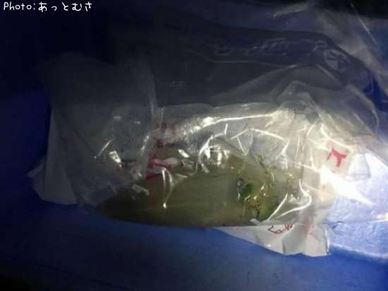 �����ꥤ��