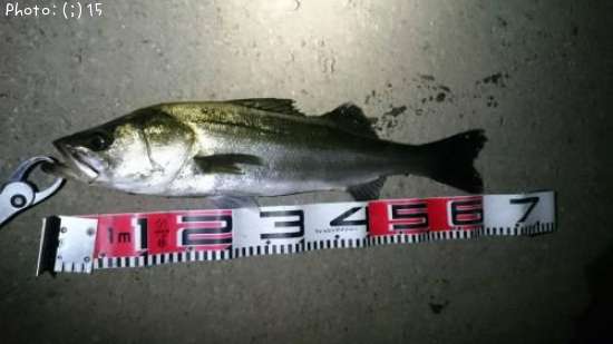 �����Х�