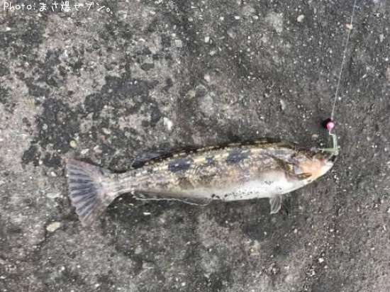 �����ʥ�