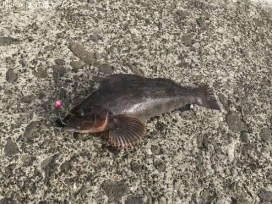 �����ʥ�