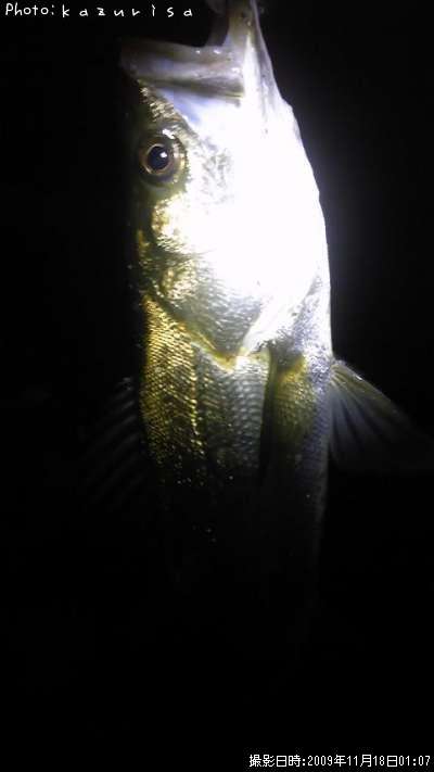 �����Х�