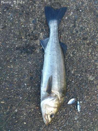 �����Х�