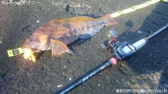 �����ʥ�