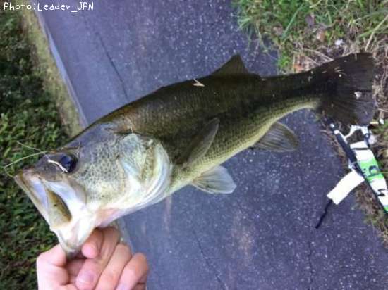 �֥�å��Х�