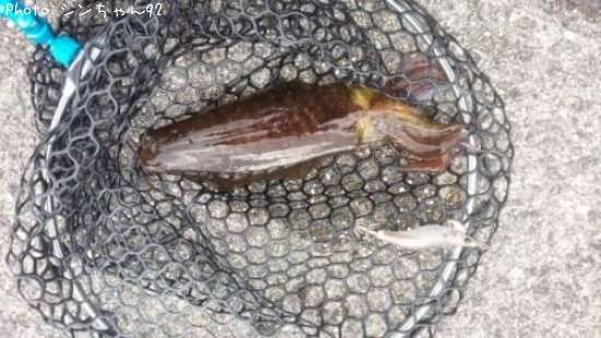 �����ꥤ��