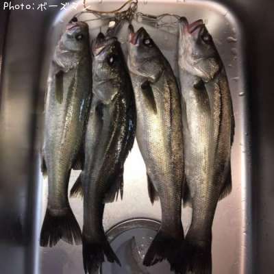 �����Х�