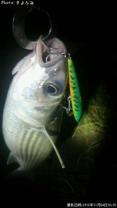 �ܥ�