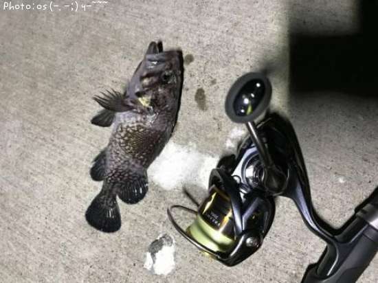 �ޥ���