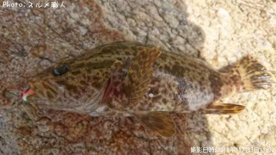 �����Υ���Х�