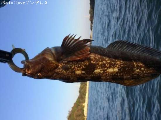 �����ʥ�