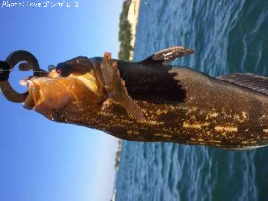 �����ʥ�