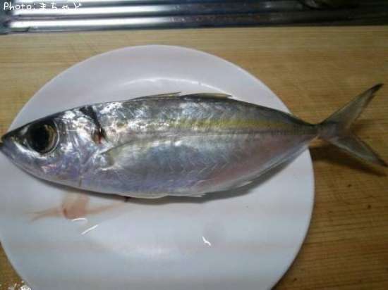 �������ڥᥢ����