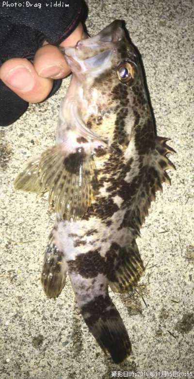 �����Υ���Х�