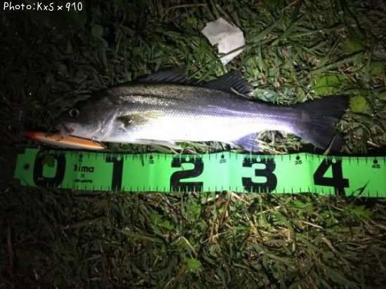 �����Х�