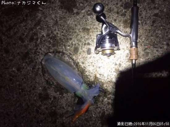 �����ꥤ��