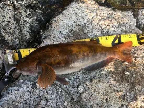 �����ʥ�