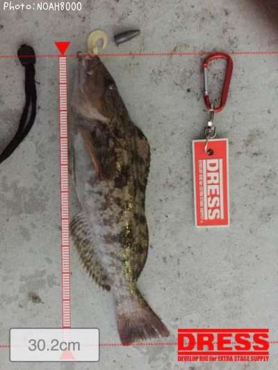 �����ʥ�