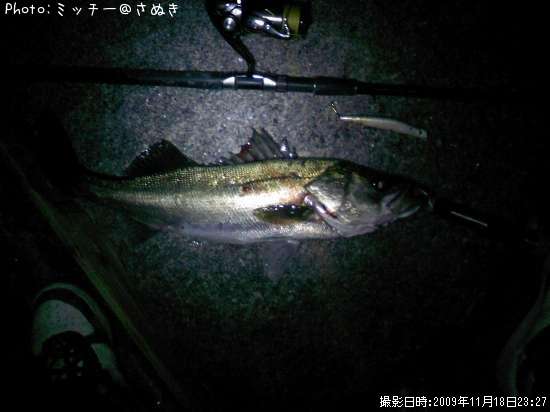 �ޥ륹����