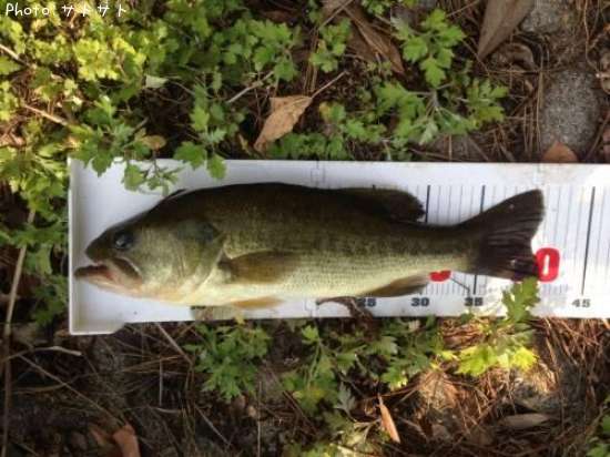 �֥�å��Х�