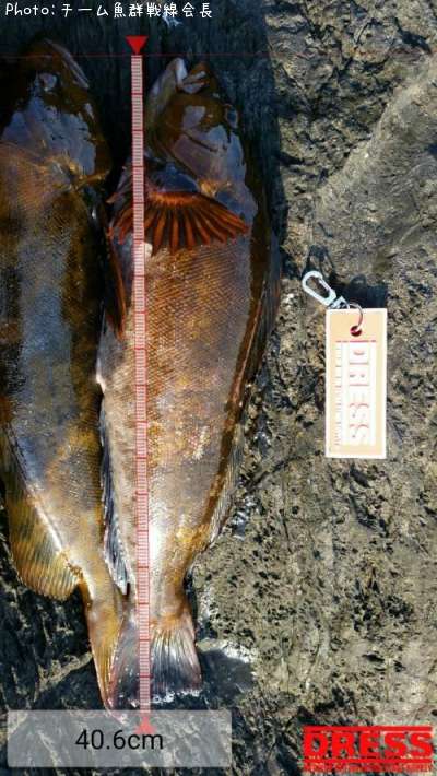 �����ʥ�