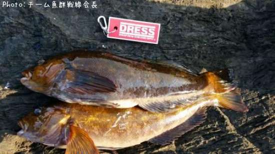 �����ʥ�