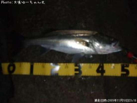 �����Х�