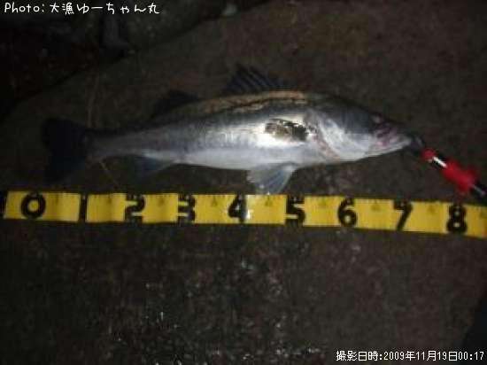 �����Х�